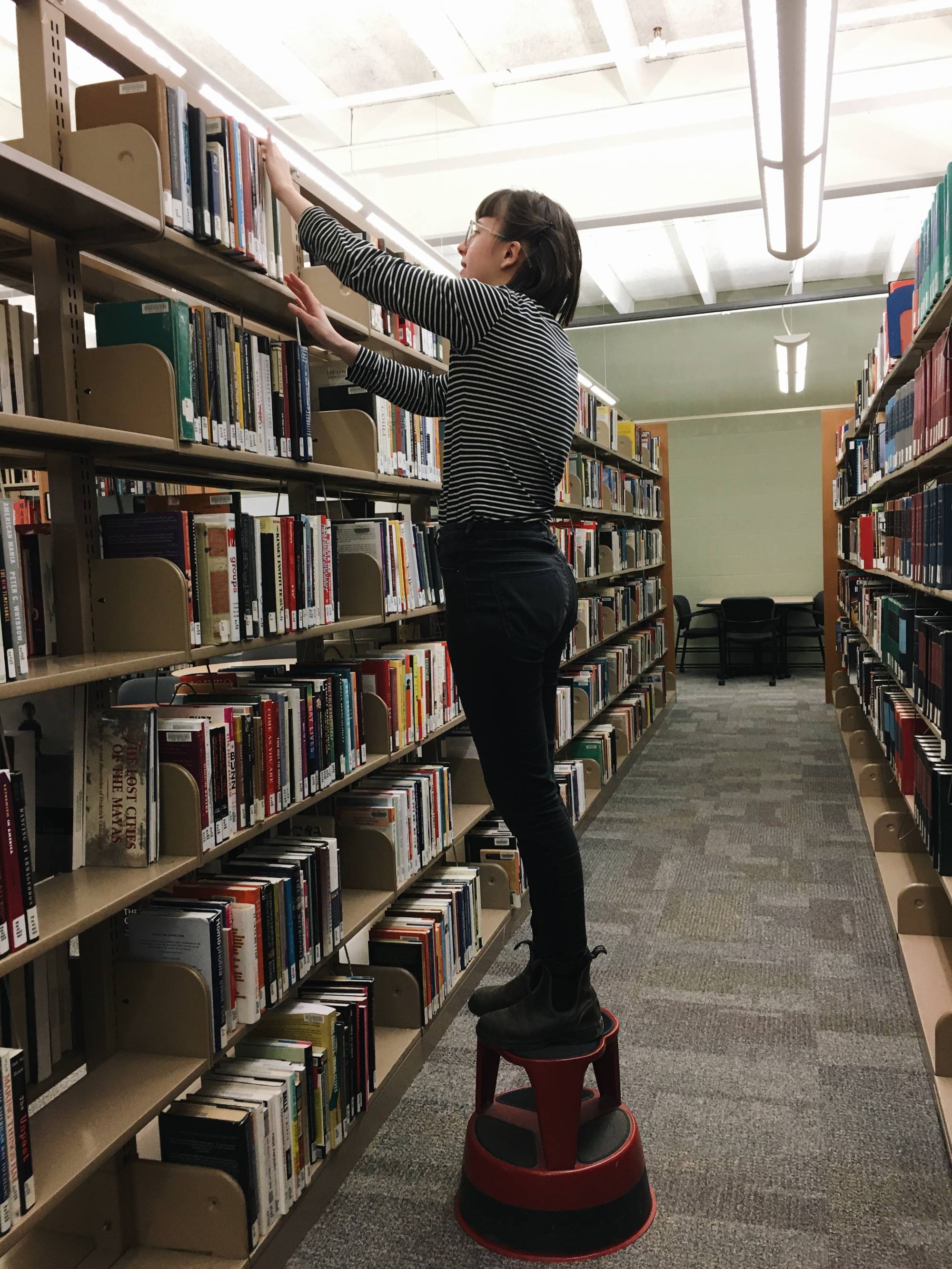 Autumn Shelving Books